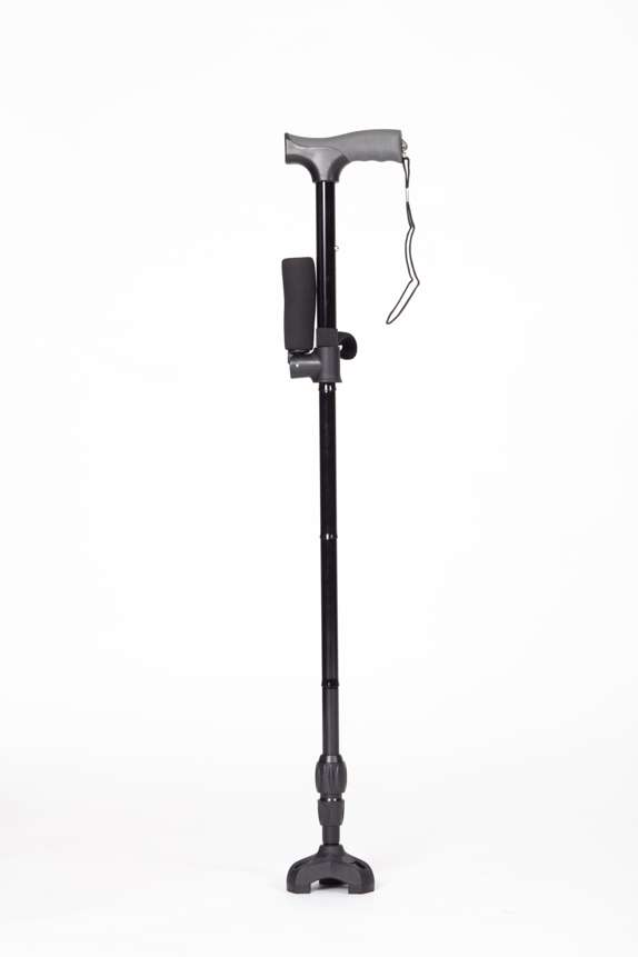 Twin Handled Walking Stick - Image 7