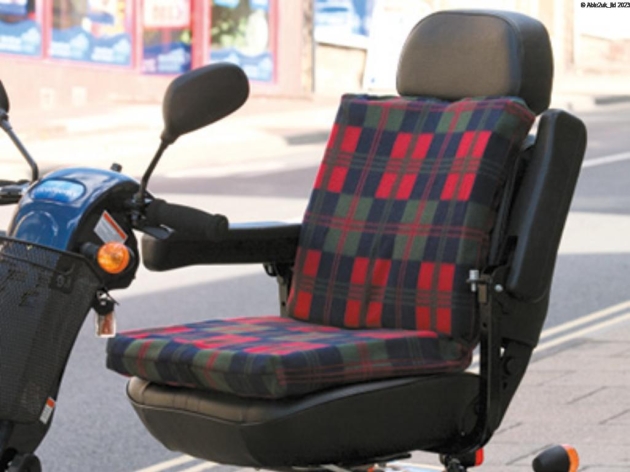 HARLEY 2-WAY SCULPTURED SUPPORT CUSHION - RED CHECK TARTAN