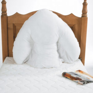 Harley Batwing Pillow