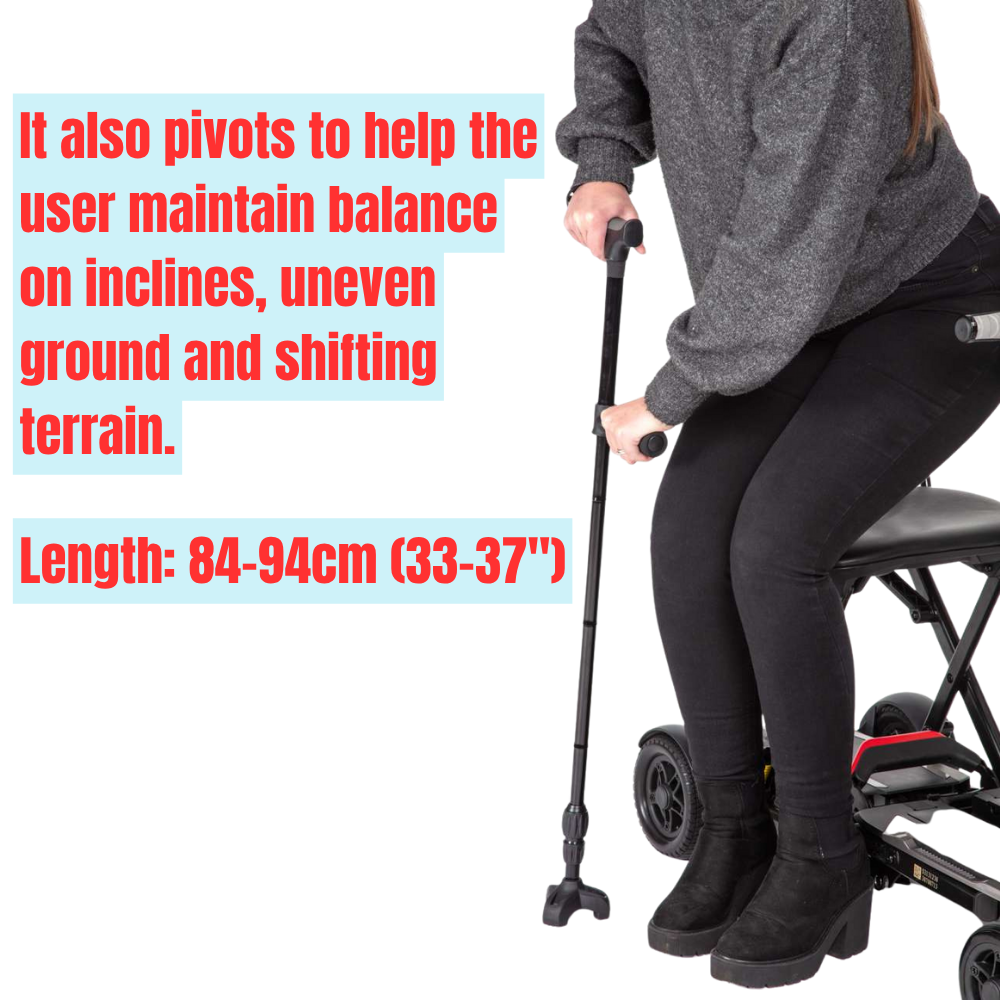 Twin Handled Walking Stick - Image 2