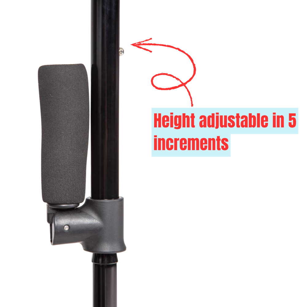 Twin Handled Walking Stick - Image 3