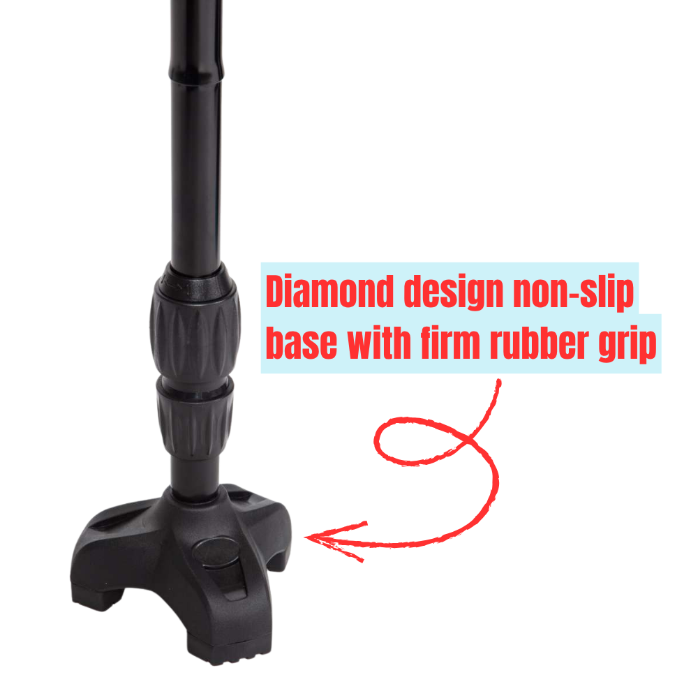 Twin Handled Walking Stick - Image 4