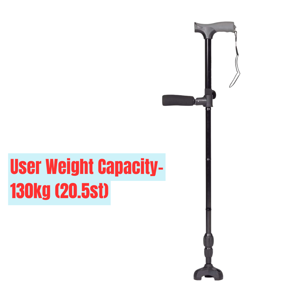 Twin Handled Walking Stick - Image 6