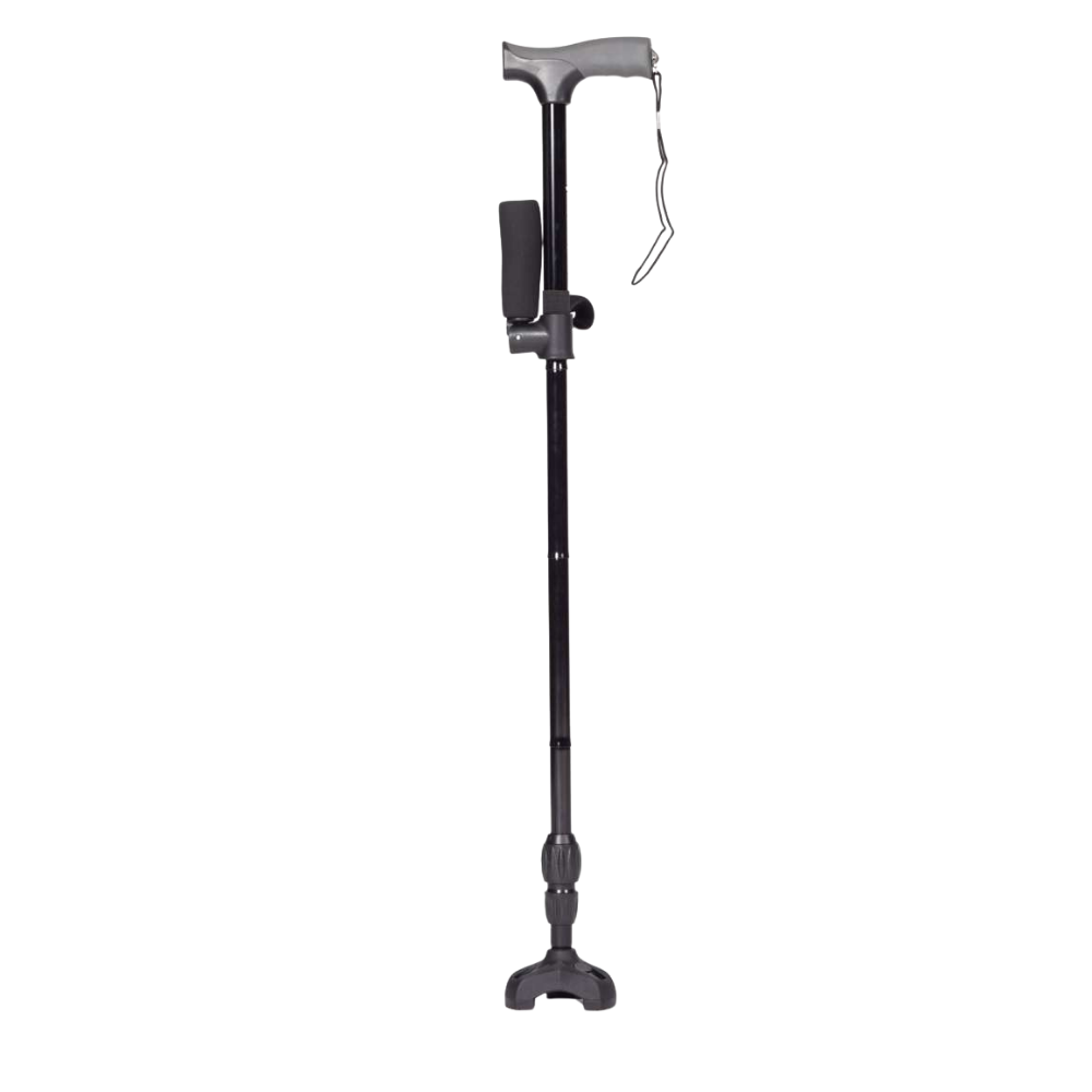 Twin Handled Walking Stick - Image 7