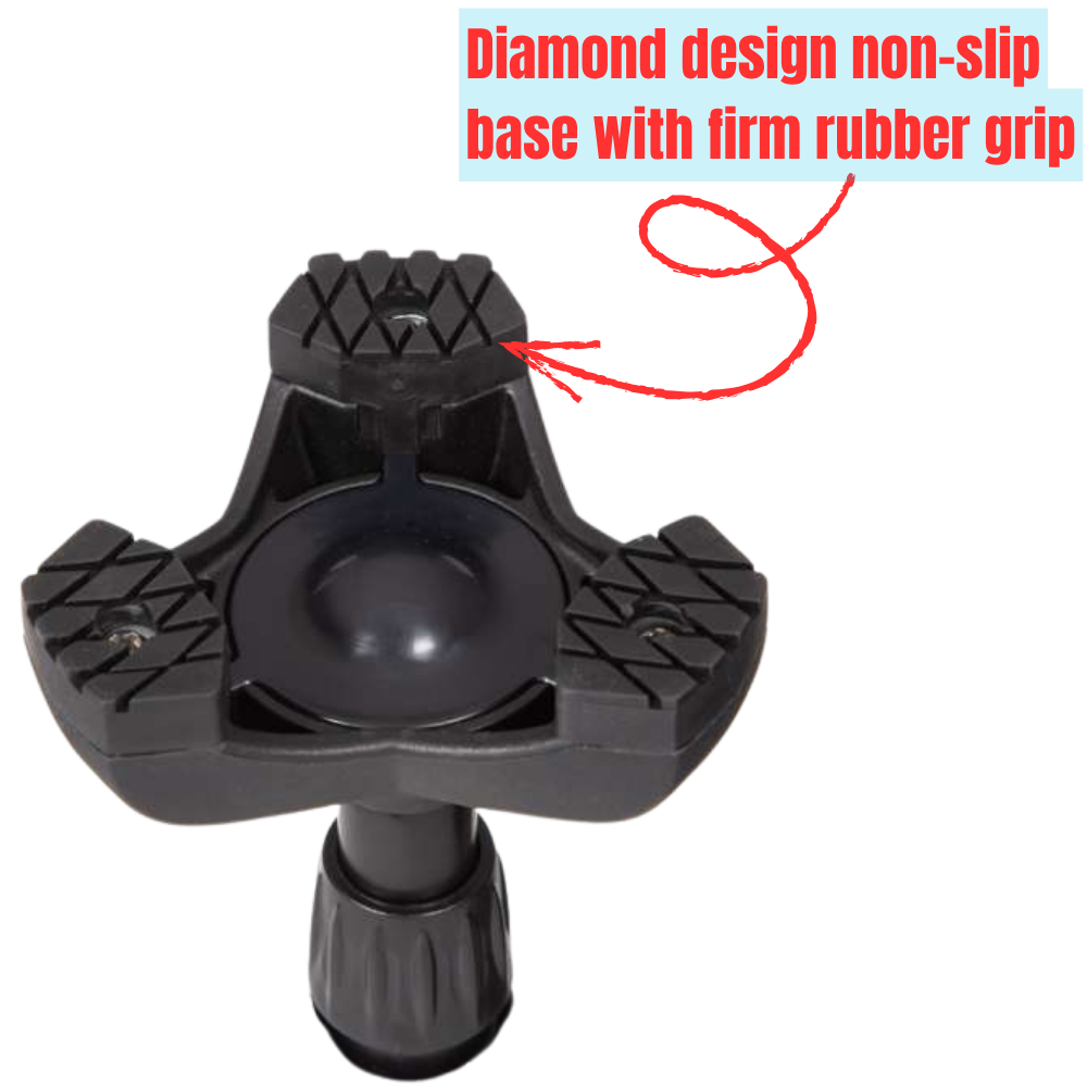 Twin Handled Walking Stick - Image 8