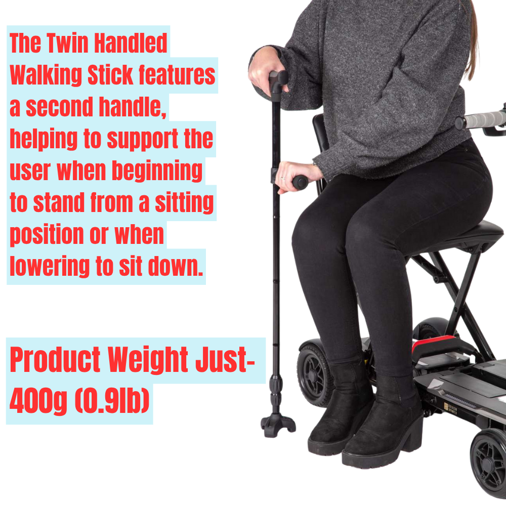 Twin Handled Walking Stick