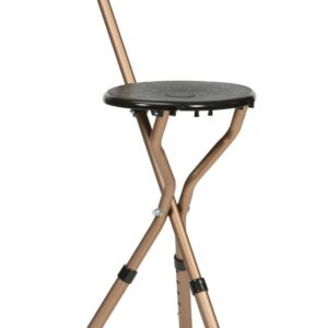 Folding Cane Seat