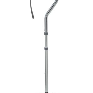 Folding Quad Cane